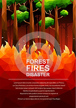 Polygonal Forest Fire Disaster poter design