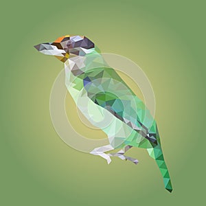 Polygonal greater green leafbird, polygon geometric animal