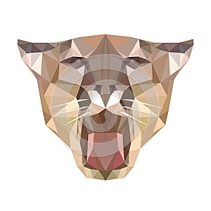 Polygonal head of tiger, polygon geometric animal, vector