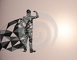 Polygonal hero