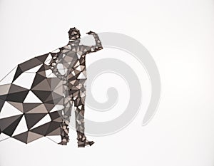 Polygonal hero