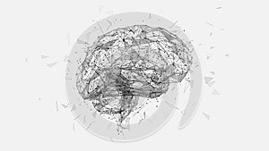 Polygonal human brain illustration on white background
