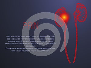 Polygonal human kidneys made of red lines and dots. Organ for urine excretion, human urinary system