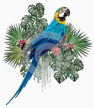 Polygonal Illustration Blue & gold macaw