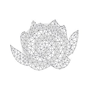 Polygonal lotos illustration
