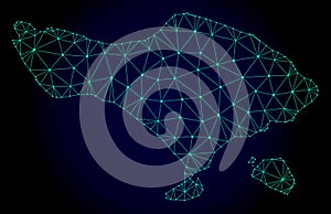Polygonal Network Mesh Vector Map of Bali Island