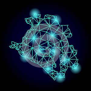 Polygonal Network Mesh Map of Krasnodarskiy Kray with Light Spots