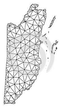 Polygonal Network Mesh Vector Map of Belize