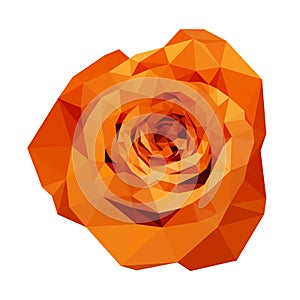 Polygonal orange rose, isolated polygon flower, vector