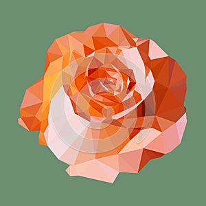 Polygonal orange rose, polygon geometric flower, vector