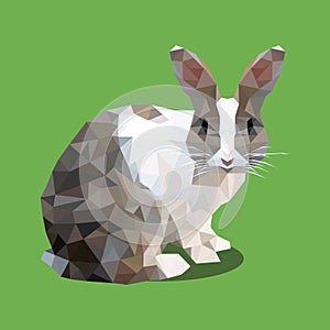 Polygonal rabbit, polygon farm animal, vector