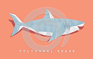 Polygonal shark â€“ stock illustration â€“ stock illustration file