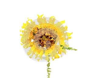 Polygonal sunflower triangle on isolated white background