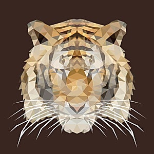 Polygonal tiger, polygon geometric animal, vector, illustration
