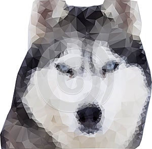 Polygonal Wolf. Polygonal Style Illustration Wolf. Vector Illustration EPS10