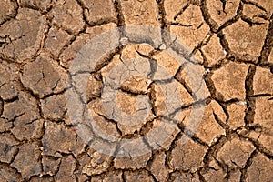 polygons of desiccation caused by drought