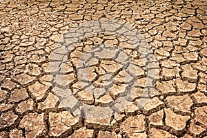 Polygons of desiccation caused by drought photo