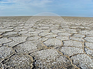 Salt flat polygons in desert , Iran photo