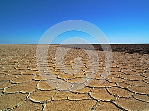 Salt flat polygons in desert , Iran photo