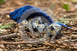 Polyhedral dice in a woodland environment photo