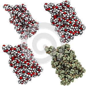 Polyhydroxybutyrate (PHB) bioplastic