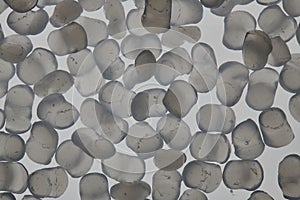 polymer resin granulate on light background