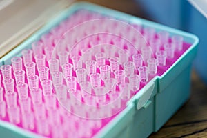 Polymerase Chain Reaction PCR and Agarose gel electrophoresis is a method of gel electrophoresis.