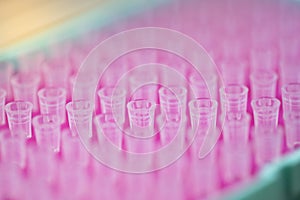 Polymerase Chain Reaction PCR and Agarose gel electrophoresis is a method of gel electrophoresis.