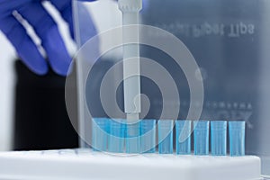 Polymerase Chain Reaction PCR and Agarose gel electrophoresis is a method of gel electrophoresis .