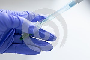 Polymerase Chain Reaction PCR and Agarose gel electrophoresis is a method of gel electrophoresis .