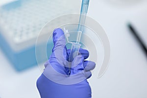 Polymerase Chain Reaction PCR and Agarose gel electrophoresis is a method of gel electrophoresis .