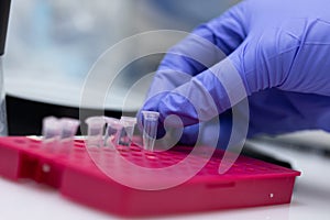 Polymerase Chain Reaction PCR and Agarose gel electrophoresis is a method of gel electrophoresis.