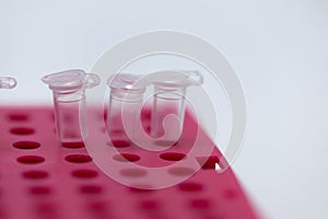 Polymerase Chain Reaction PCR and Agarose gel electrophoresis is a method of gel electrophoresis.