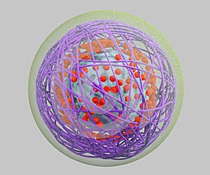 polymeric nanoparticle as a nanocapsule use as imaging agents or for drug delivery