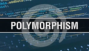 Polymorphism with Digital java code text. Polymorphism and Computer software coding vector concept. Programming coding script java
