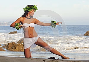 Polynesian Dancer img