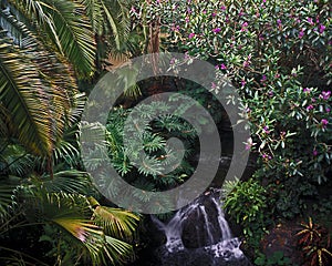 Polynesian garden with waterfall