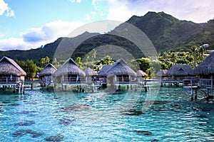 Polynesian overwater - Moorea