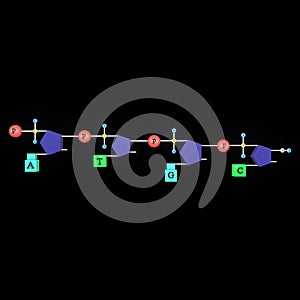 Polynucleotide chain photo