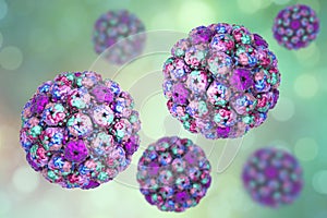 Polyomavirus, DNA virus from Papovaviridae family