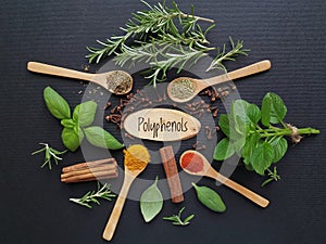 Polyphenol rich food. Set of various spices and fresh herbs rich in polyphenols. Natural products containing polyphenols