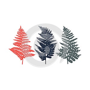 Polypodiophyta. Fern. Set of leaves in red, blue and gray colors.