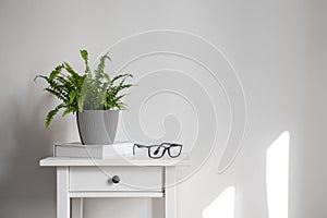Polypody, book, and glasses on nightstand photo