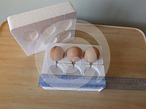 Polystyrene egg boxes to ship in the mailing system