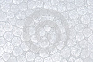 Polystyrene foam texture