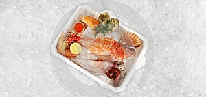 Polystyrene Transportation Box with Fish and Sea Food on Ice. Sea Weed, Caviar, Mussels, Oysters and Scallop on white Background