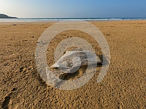 Abandoned plastic polythene bag on the beach. photo