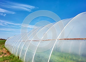 Polytunnel exterior against the blue sky