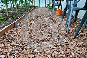 Polytunnel Floor Construction