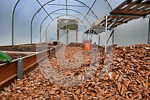 Polytunnel in Winter photo